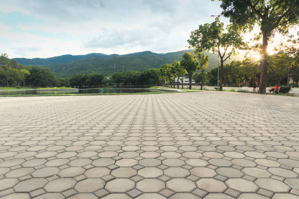 Best Driveway Paver Sealing  in East Foothills, CA
